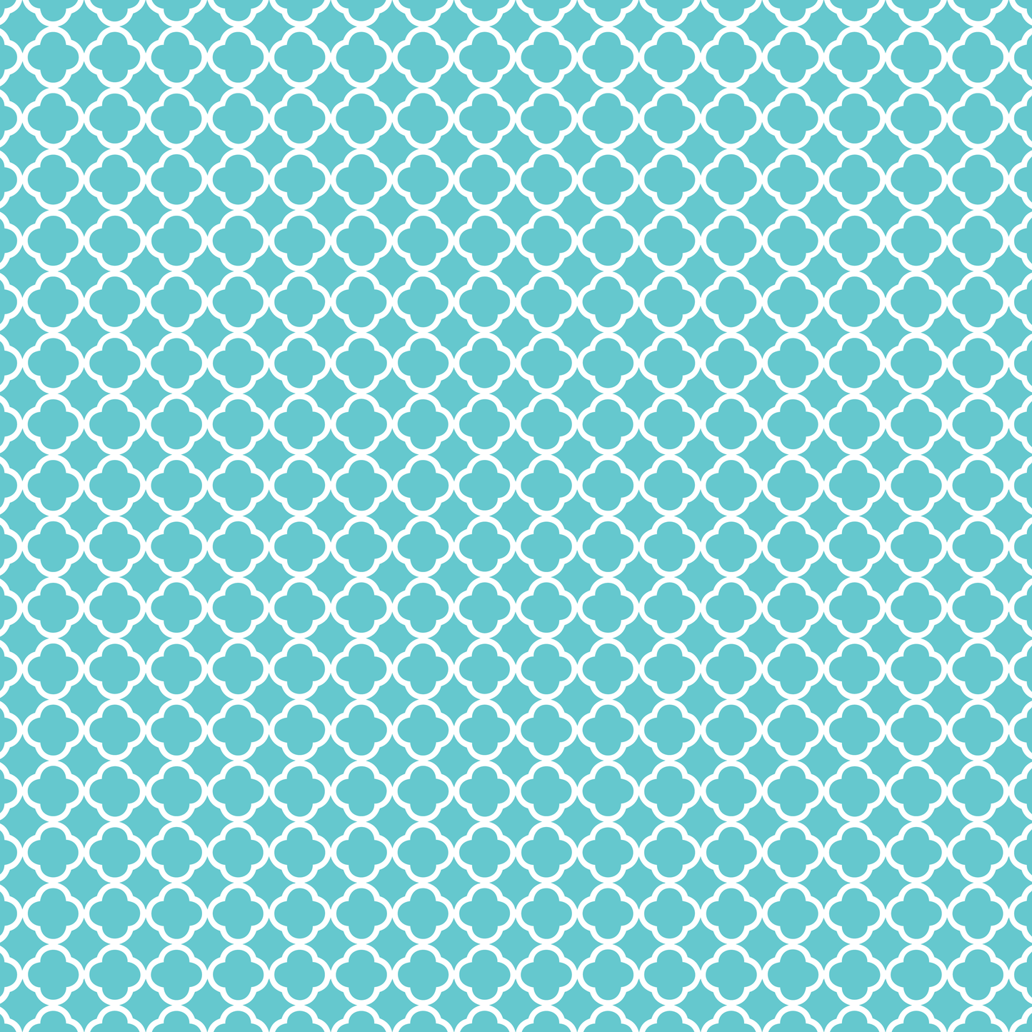 Step in Style Harness