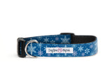 Holiday Blue Snowflake Dog Collar