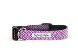 Purple and White Flower Dog Collar