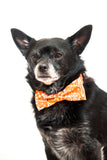 Orange Bandana Bow Tie