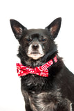 Our red bandana bow tie will make any dog dapper.