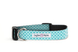 Teal and White Flower Dog Collar