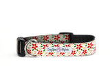 Holiday Christmas Poinsettia  Dog Collar